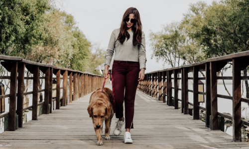 What is Monon 30? Woman walking dog over bridge