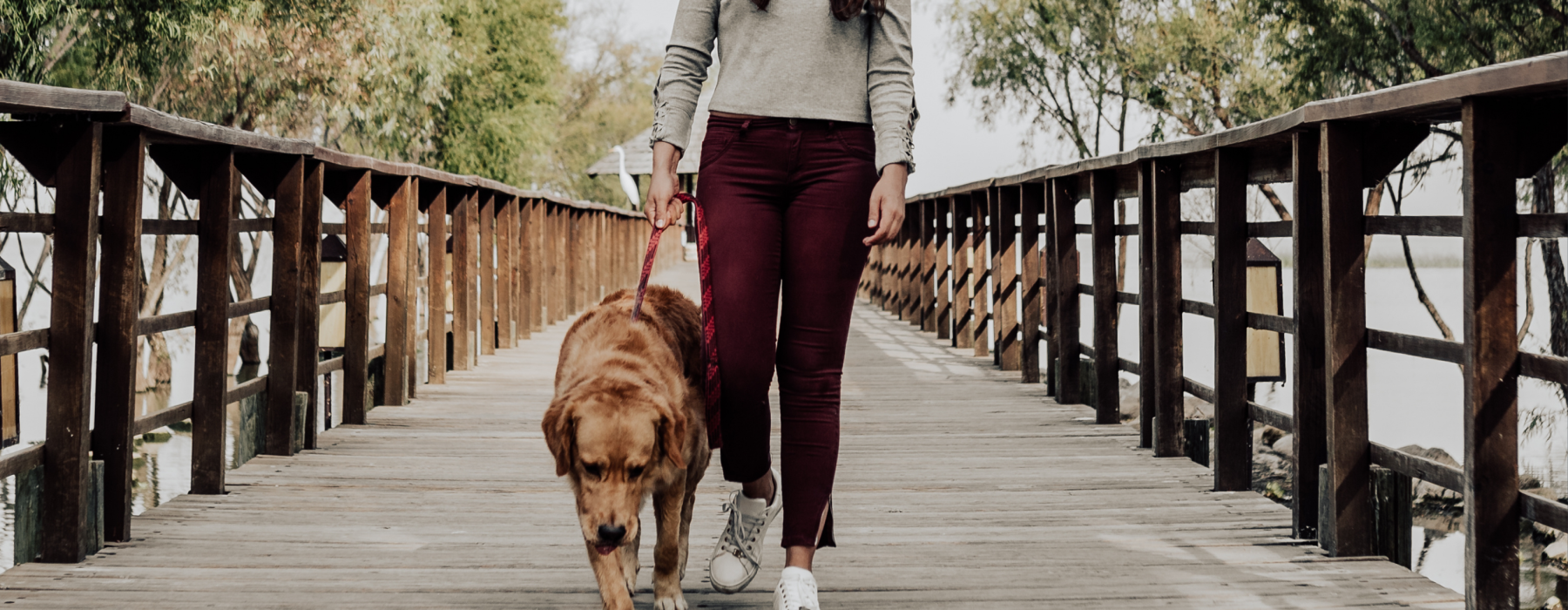 Woman walking dog over bridge